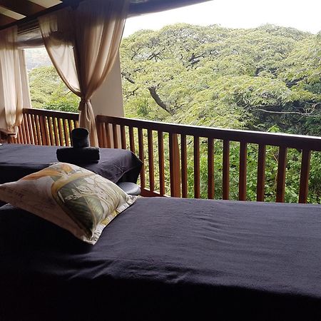 Honeywood Forest Lodge Port Shepstone Buitenkant foto