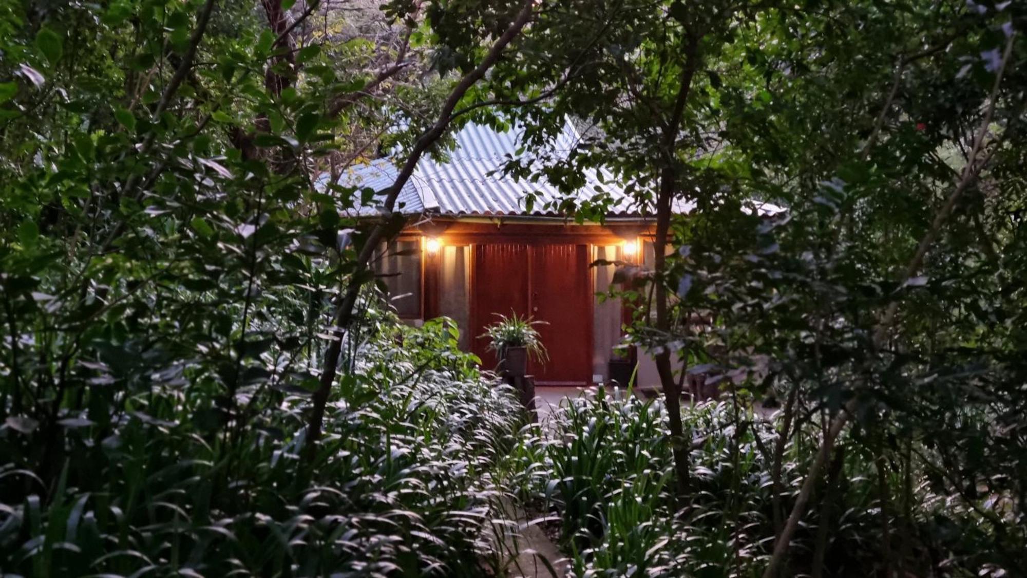 Honeywood Forest Lodge Port Shepstone Buitenkant foto