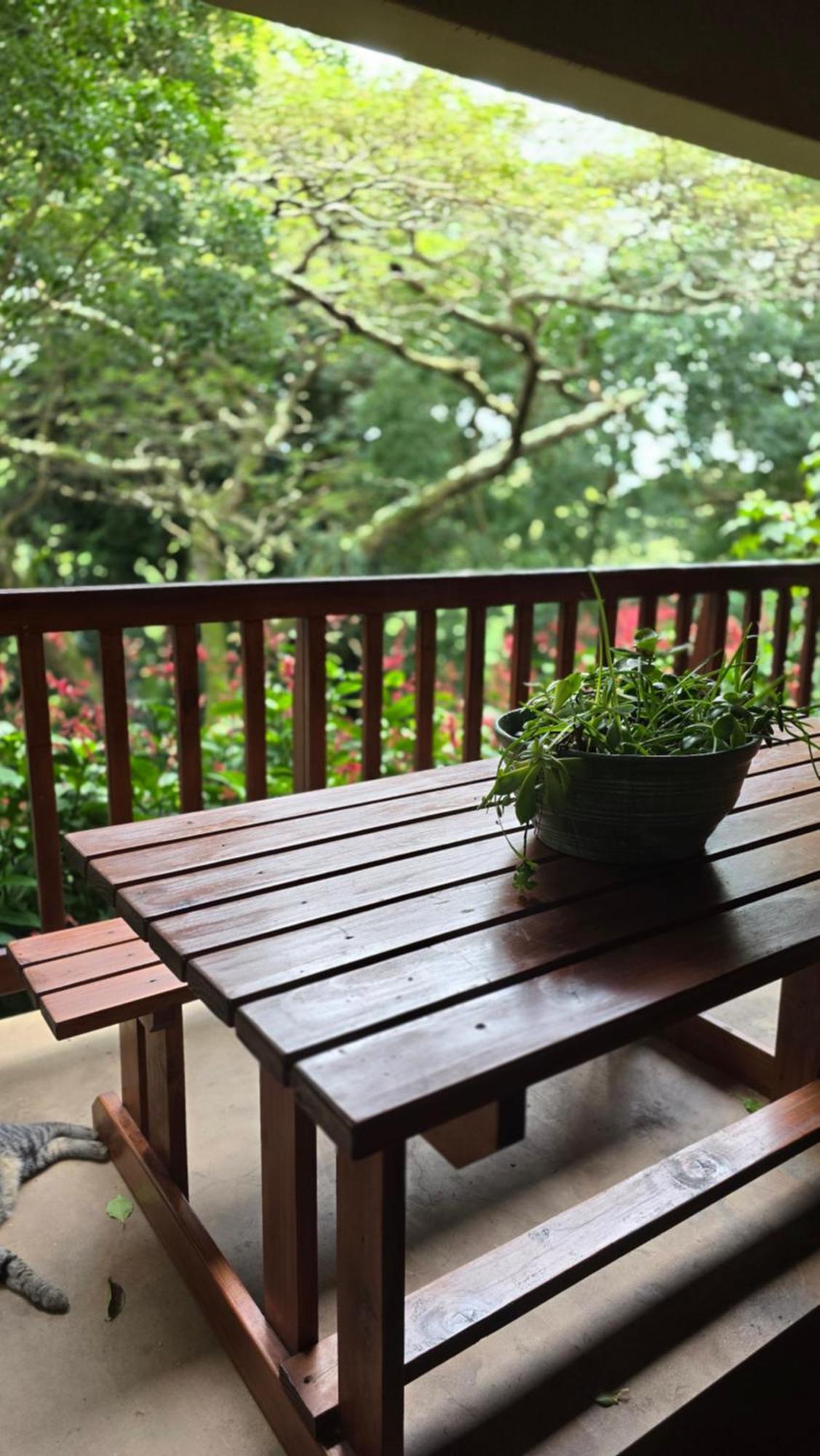 Honeywood Forest Lodge Port Shepstone Buitenkant foto